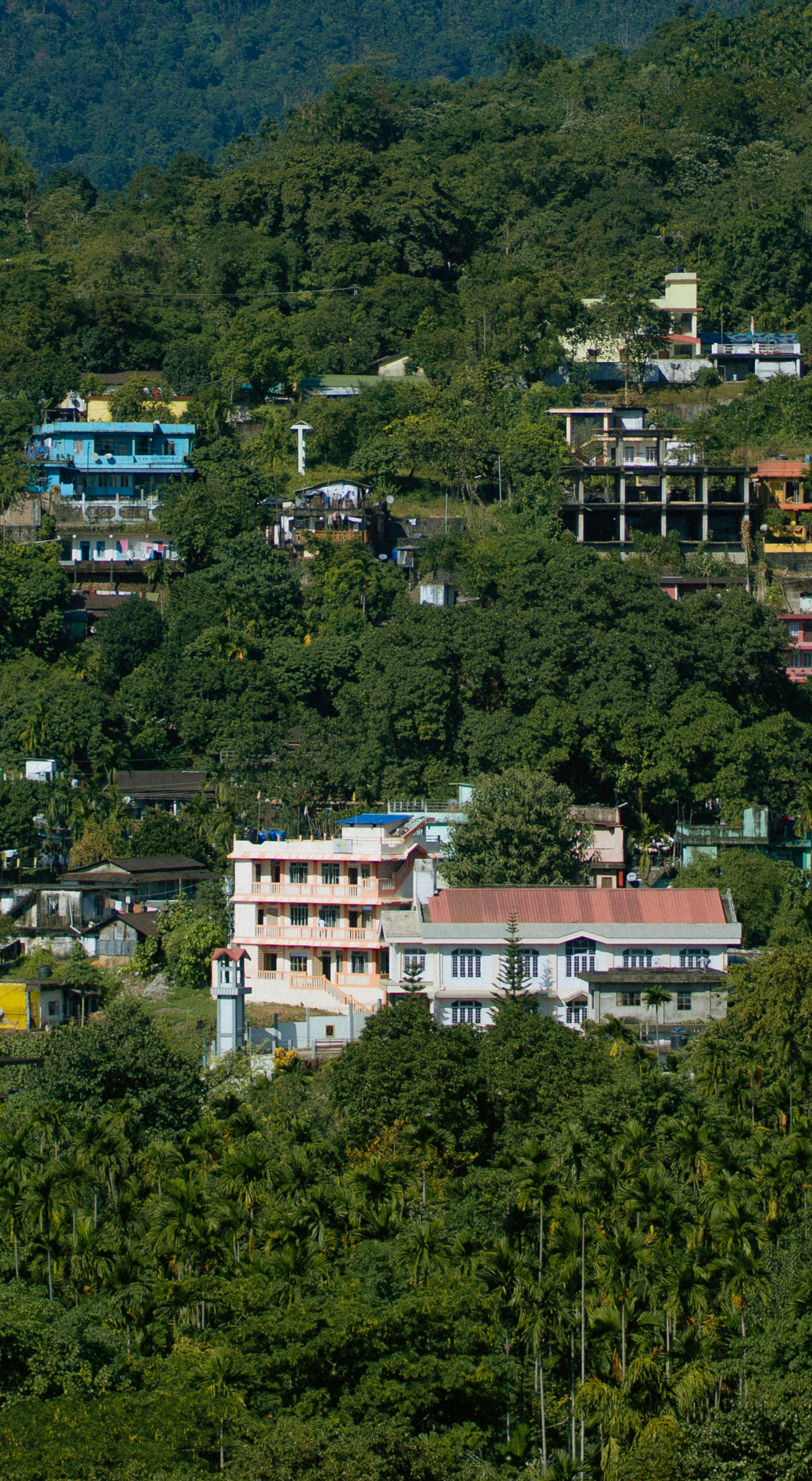 Book Himachal Tour From Delhi Chandigarh Amritsar Pathankot